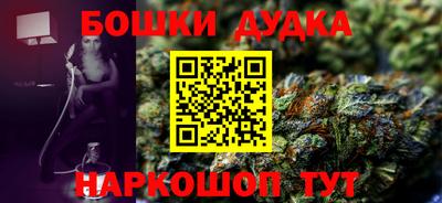 spice Новодвинск