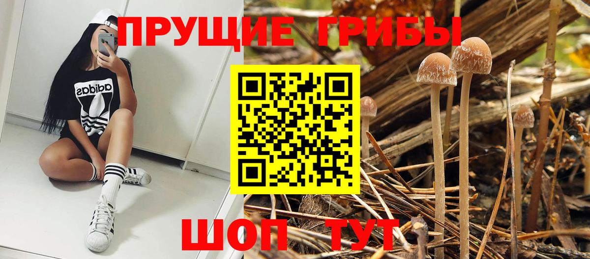 Псилоцибиновые грибы мухоморы Дюртюли