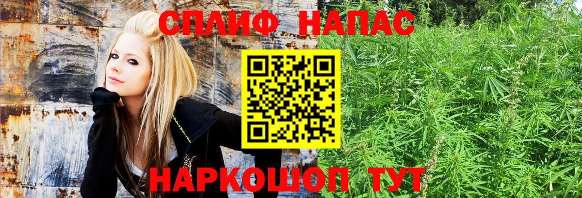 Марихуана Bruce Banner  Вход с VPN  Каннабис планчик  МАРИХУАНА тримм  Дюртюли 